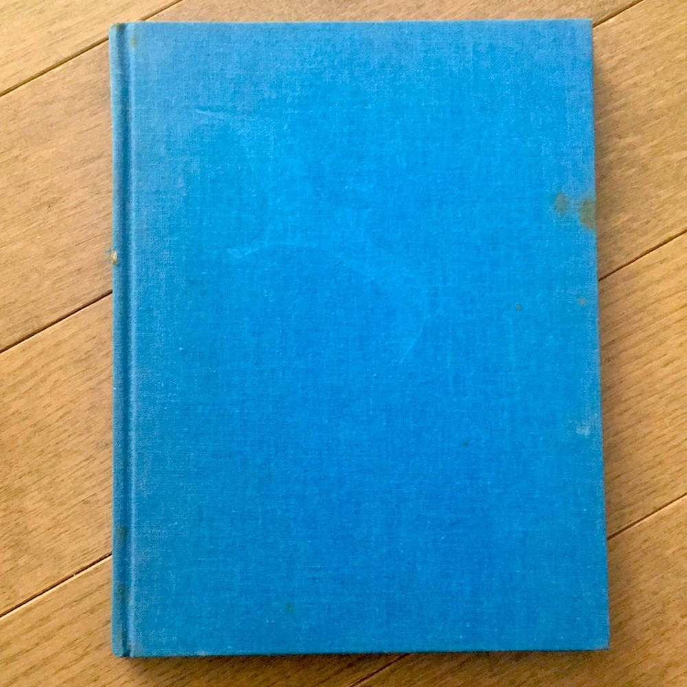 Jonathan Livingston Seagull by Bach 1970 ORIGINAL Hard Cover #50454
